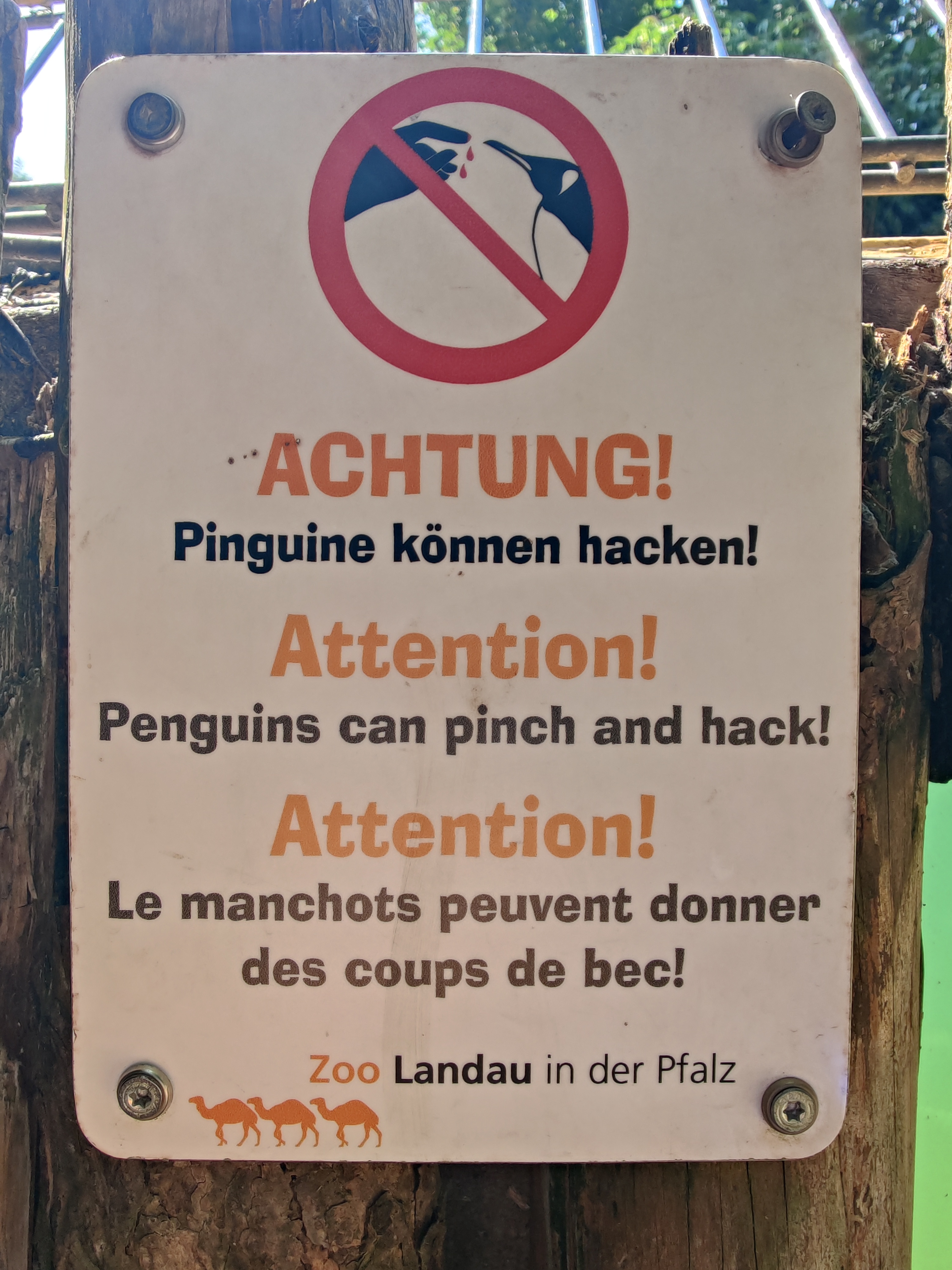 Pinguine können hacken. Schild im Zoo Landau.